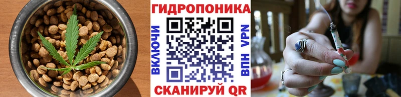 Купить закладки  Темников  Еда ТГК конопля 