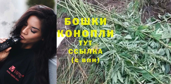 стафф Богородск