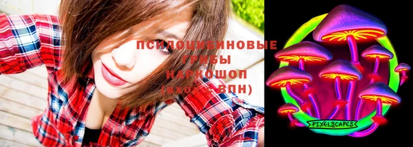 стафф Богородск