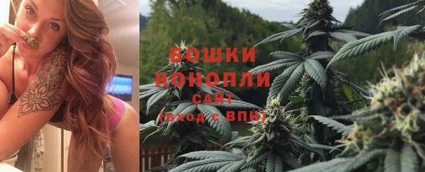 стафф Богородск