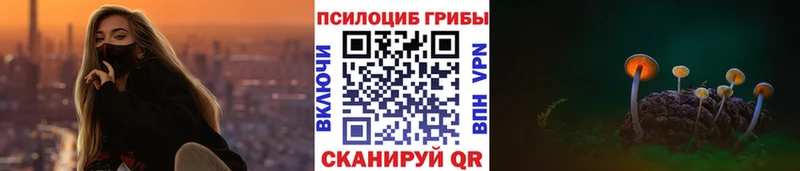 Купить где  Темников  Псилоцибиновые грибы Magic Shrooms 